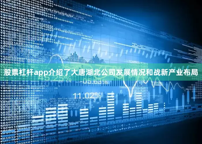 股票杠杆app介绍了大唐湖北公司发展情况和战新产业布局