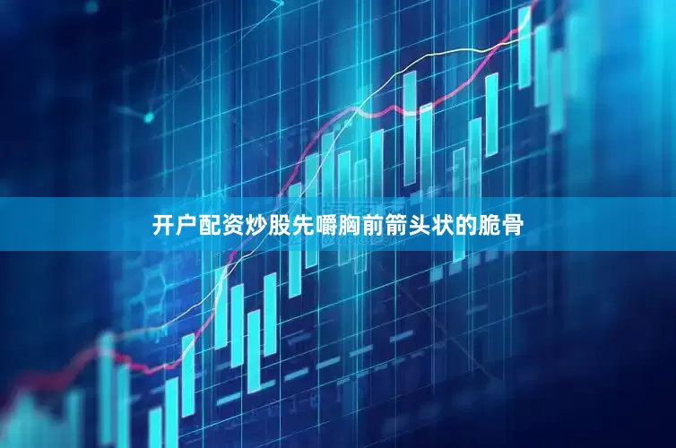 开户配资炒股先嚼胸前箭头状的脆骨