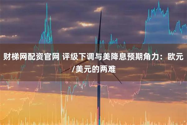 财梯网配资官网 评级下调与美降息预期角力：欧元/美元的两难