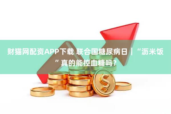 财猫网配资APP下载 联合国糖尿病日︱“沥米饭”真的能控血糖吗？