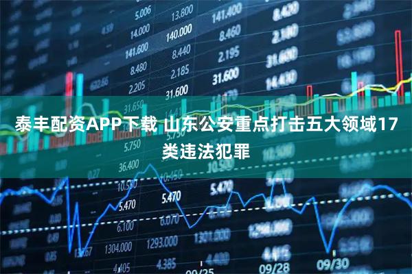 泰丰配资APP下载 山东公安重点打击五大领域17类违法犯罪